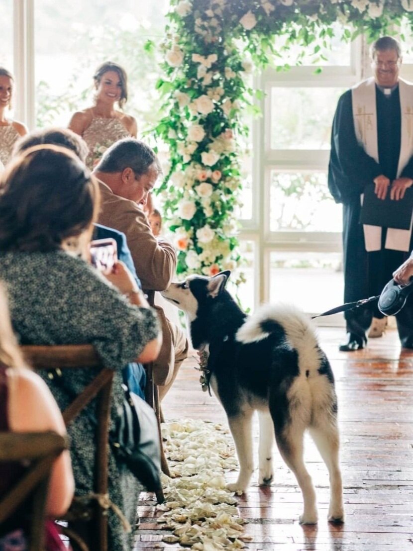 THE SCOUT GUIDE MEMPHIS AND OXFORD'S GUIDE TO A WONDERFUL WEDDING - The ...